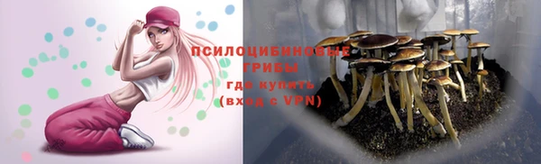 прущая мука Богданович