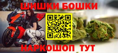 крисы Ирбит