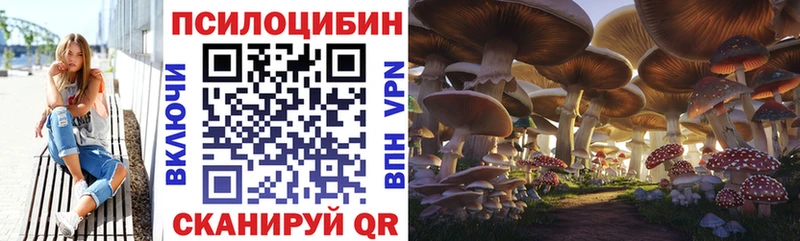 Псилоцибиновые грибы Cubensis  где продают наркотики  Надым 