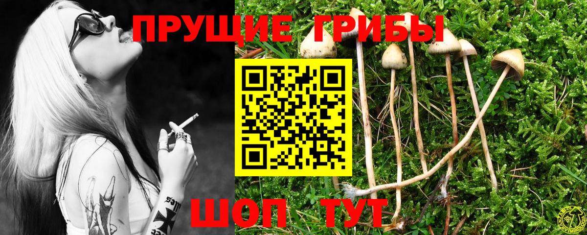 что такое наркотик  Галлюциногенные грибы Cubensis  Надым  Вход с VPN  Галлюциногенные грибы мухоморы 